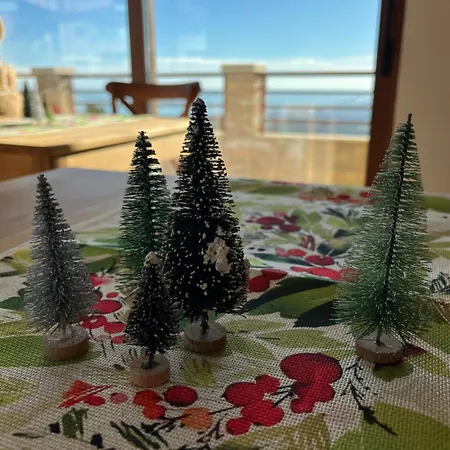 Seta Luxury * ロゼート・デッリ・アブルッツィ