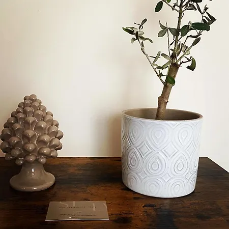 Seta Luxury * Roseto Degli Abruzzi