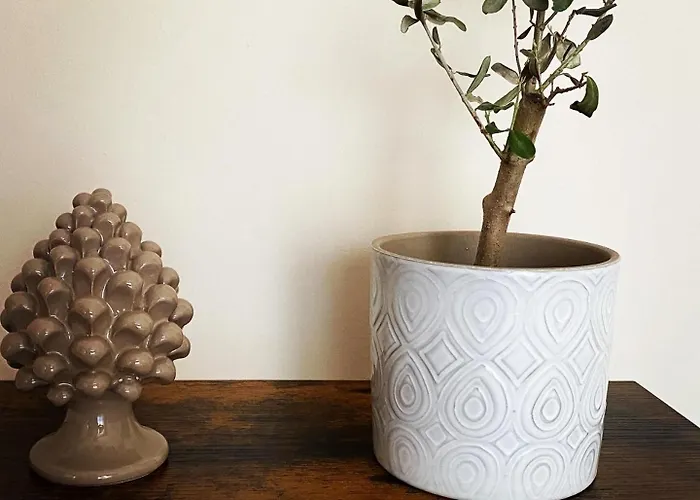 Seta Luxury * Розето-дельи-Абруцци