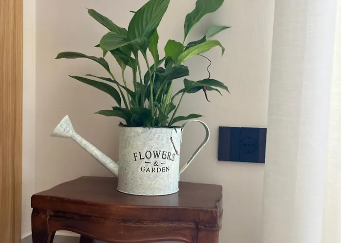 Апартаменты Seta Luxury *